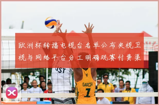 欧洲杯转播电视台名单公布央视卫视与网络平台分工明确观赛付费渠道