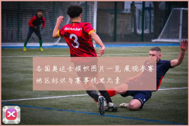 各国奥运会旗帜图片一览 展现参赛地区标识与赛事视觉元素