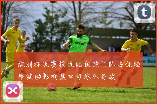 欧洲杯决赛投注比例热门队占优赔率波动影响盘口与球队备战