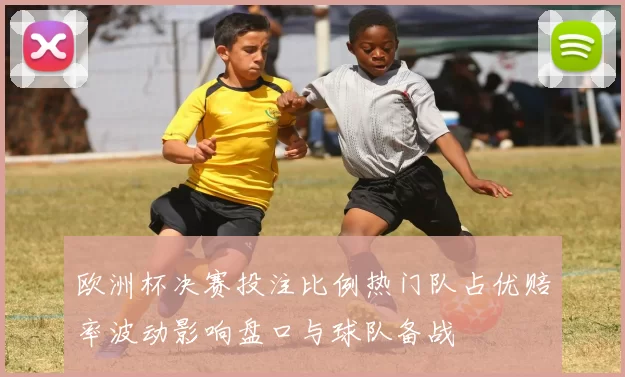 欧洲杯决赛投注比例热门队占优赔率波动影响盘口与球队备战